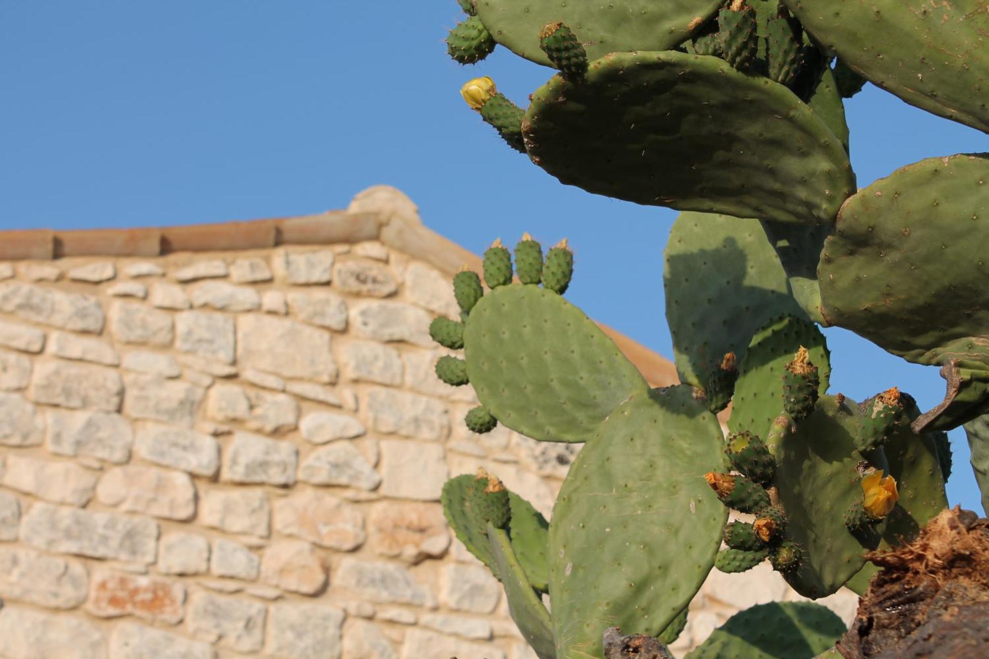 Tenuta Zannafondo Hostal Donnafugata Exterior foto